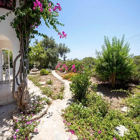 Cozy Villa With Sauna And Backyard In Bodrum Karabag